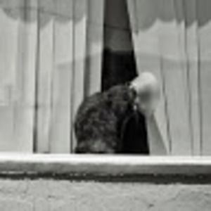 Meet your Posher, Grant